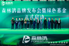 材料企业崛起重构定制家居消费链路，森林鸽以S2F2B2C模式撬动精板市场